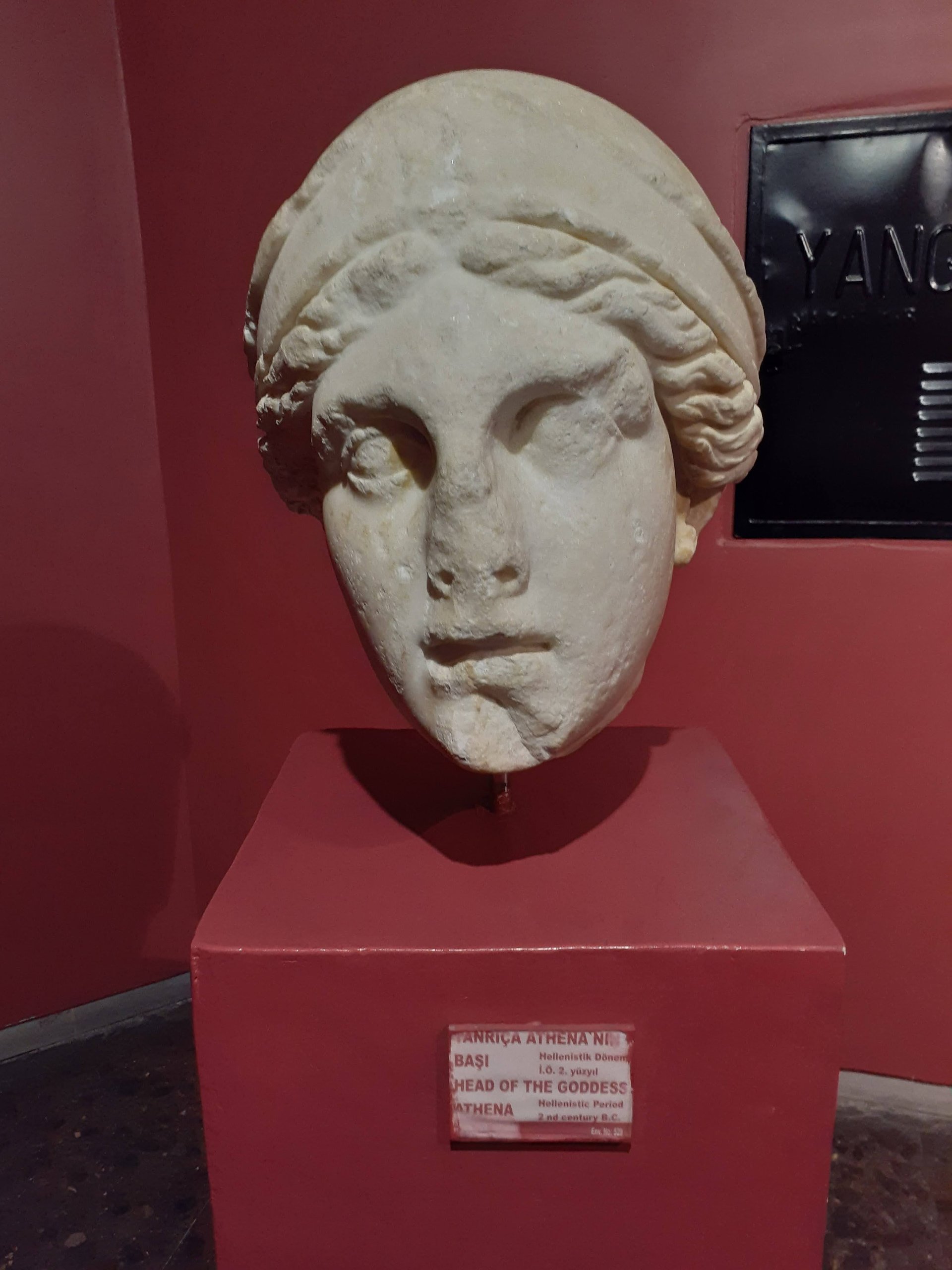 Marble head of Athena