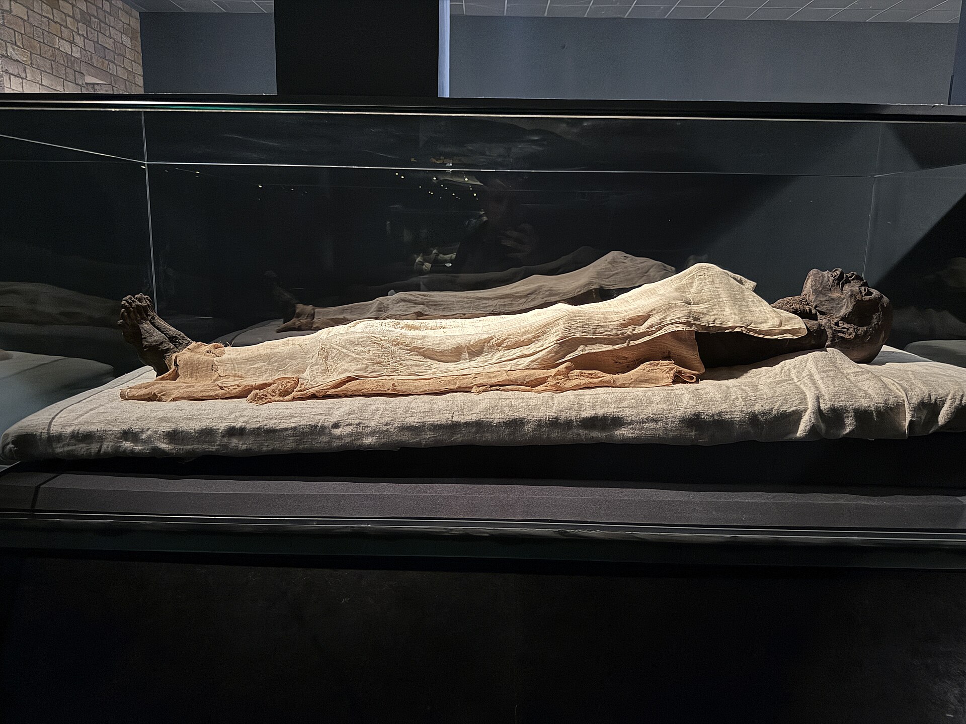 A wrapped mummy lying in a glass display case in the museum's Royal Mummies Hall