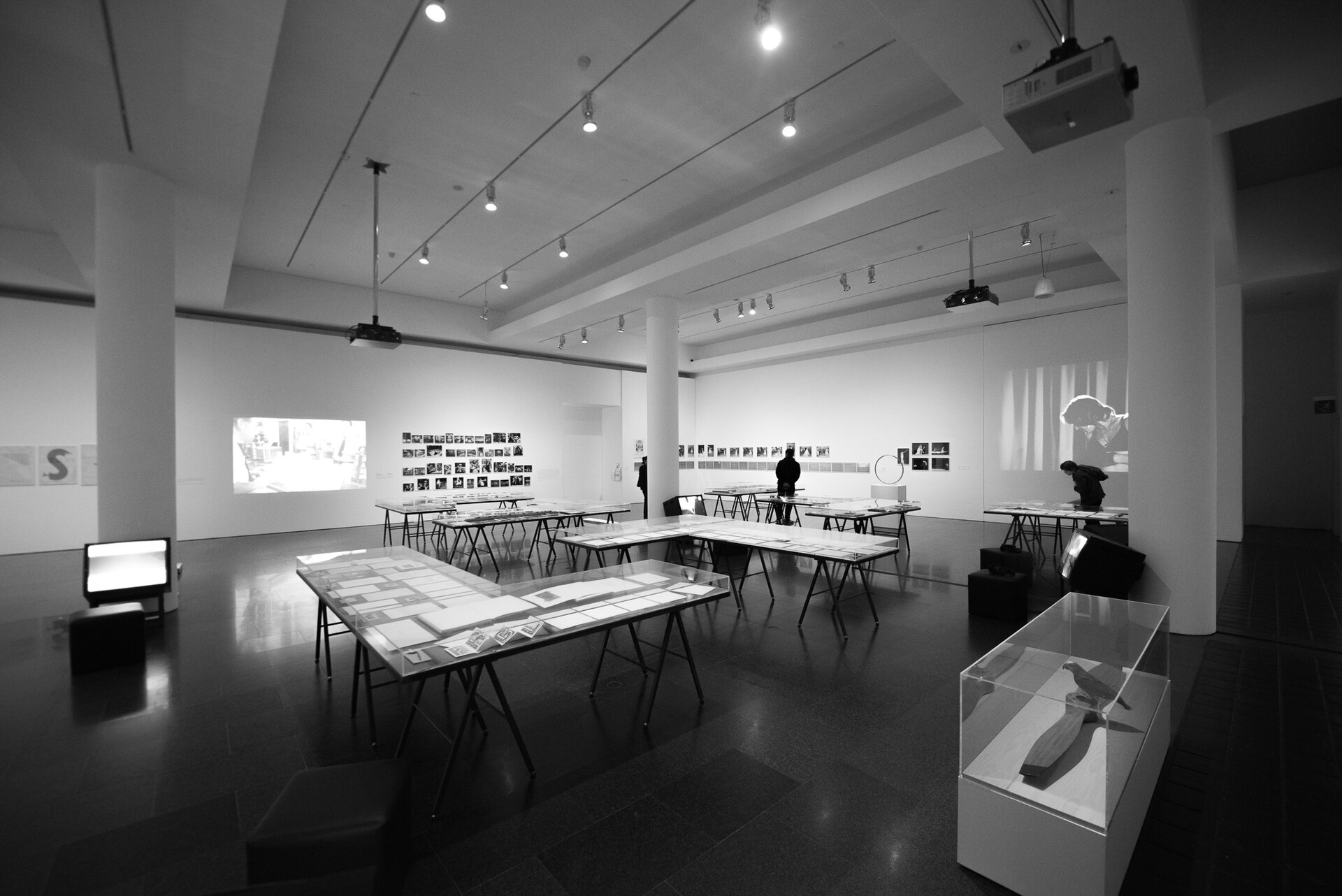 Exhibition gallery, interior