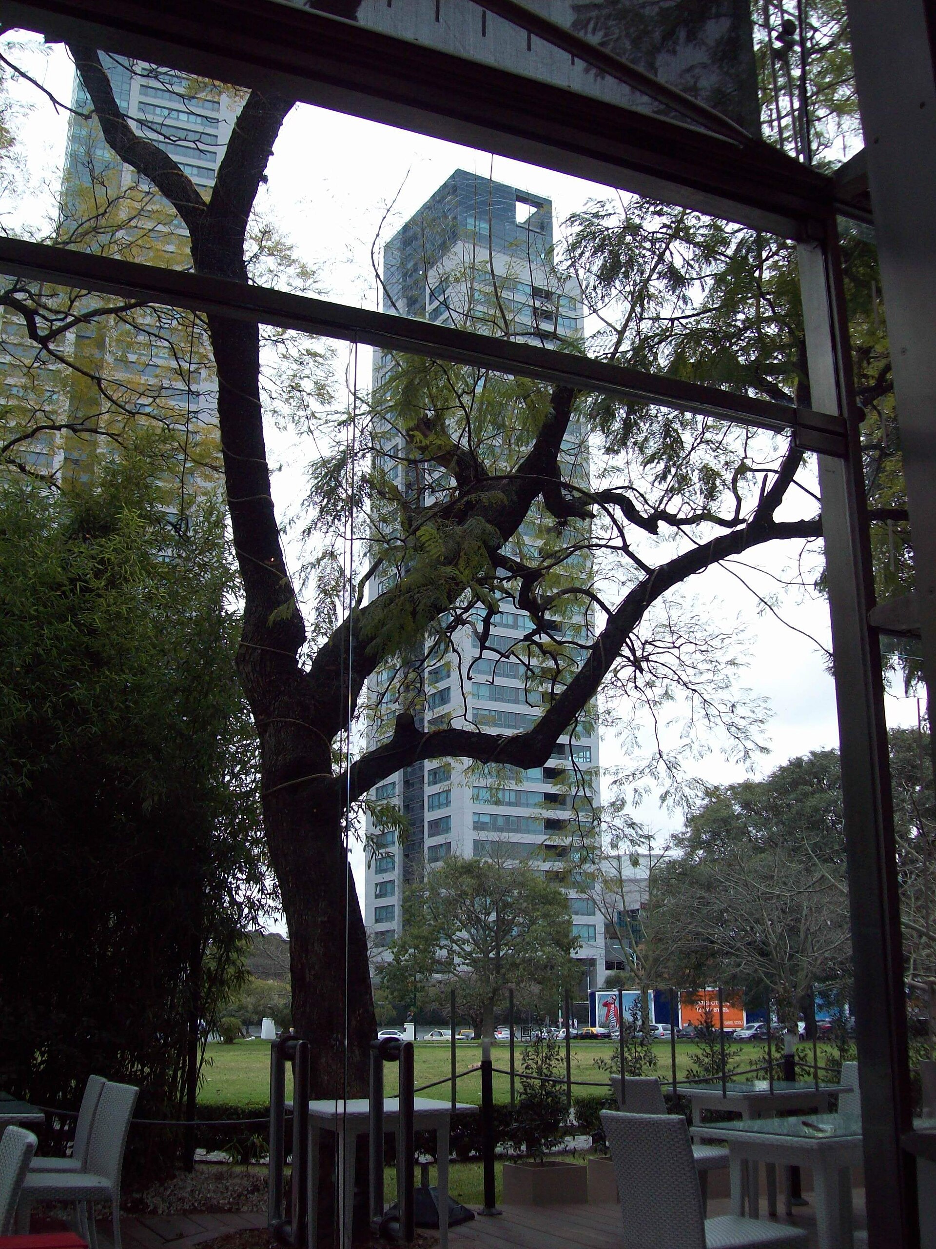 View of the Torres Le Parc apartment towers from the dining room at MALBA