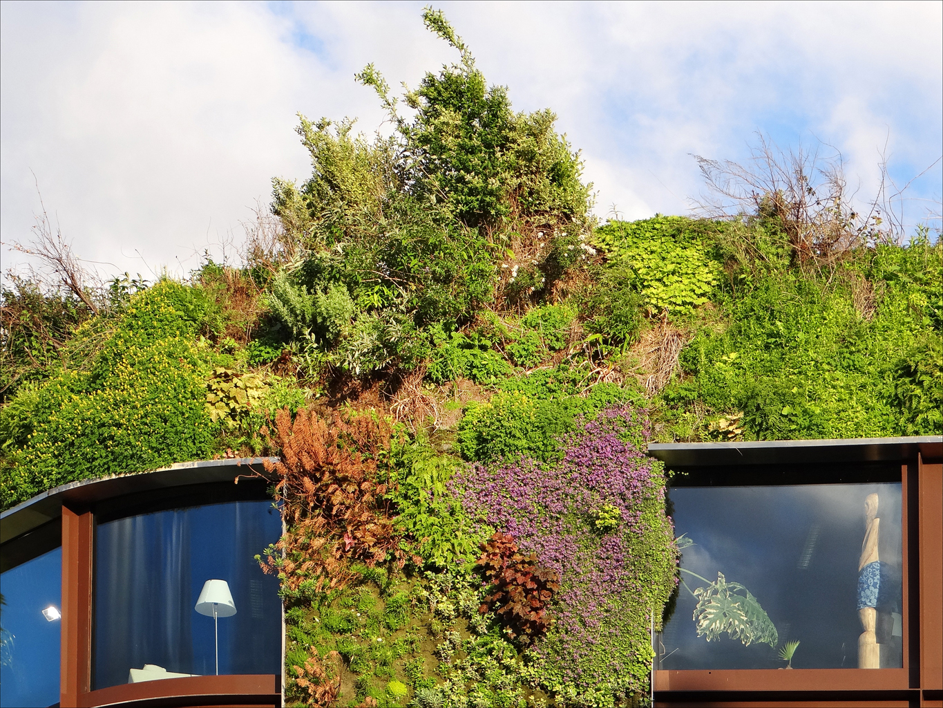 The living wall
