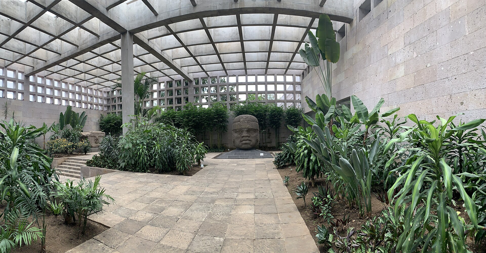 A covered courtyard planted with palms and banana trees, with an Olmec colossal head standing among the foliage