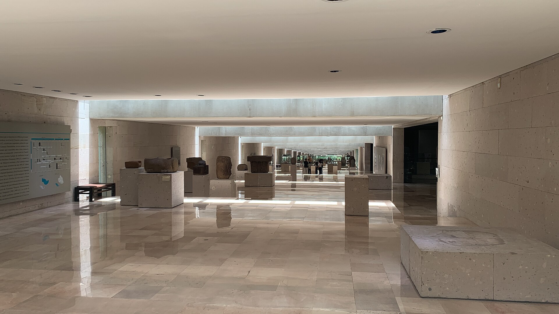 The long central gallery of the museum, lined with stone Olmec monuments on pedestals under a coffered concrete ceiling