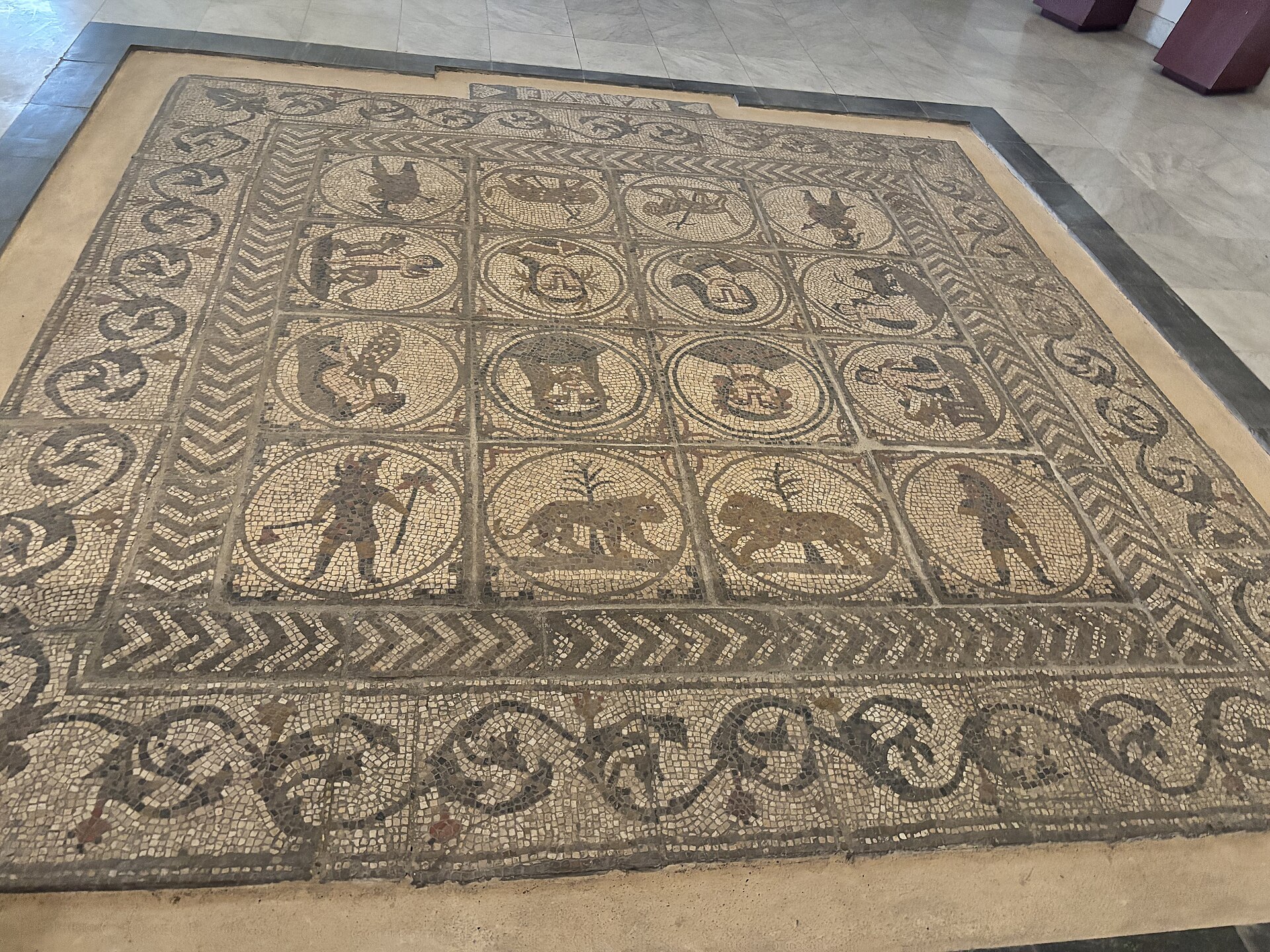 A Roman-period mosaic floor from the ancient art galleries