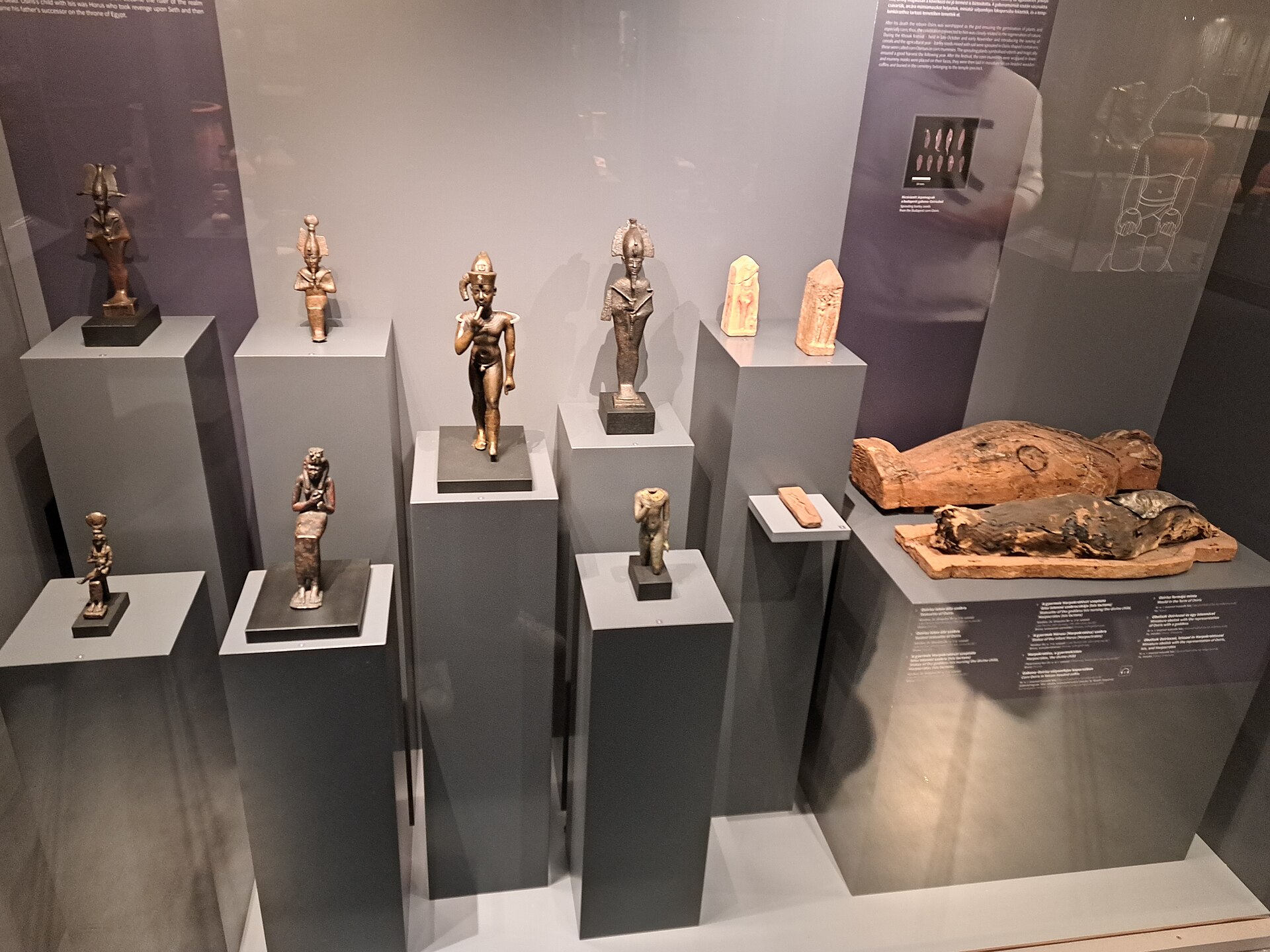 A display case of small Egyptian bronze statuettes, amulets and mummified remains