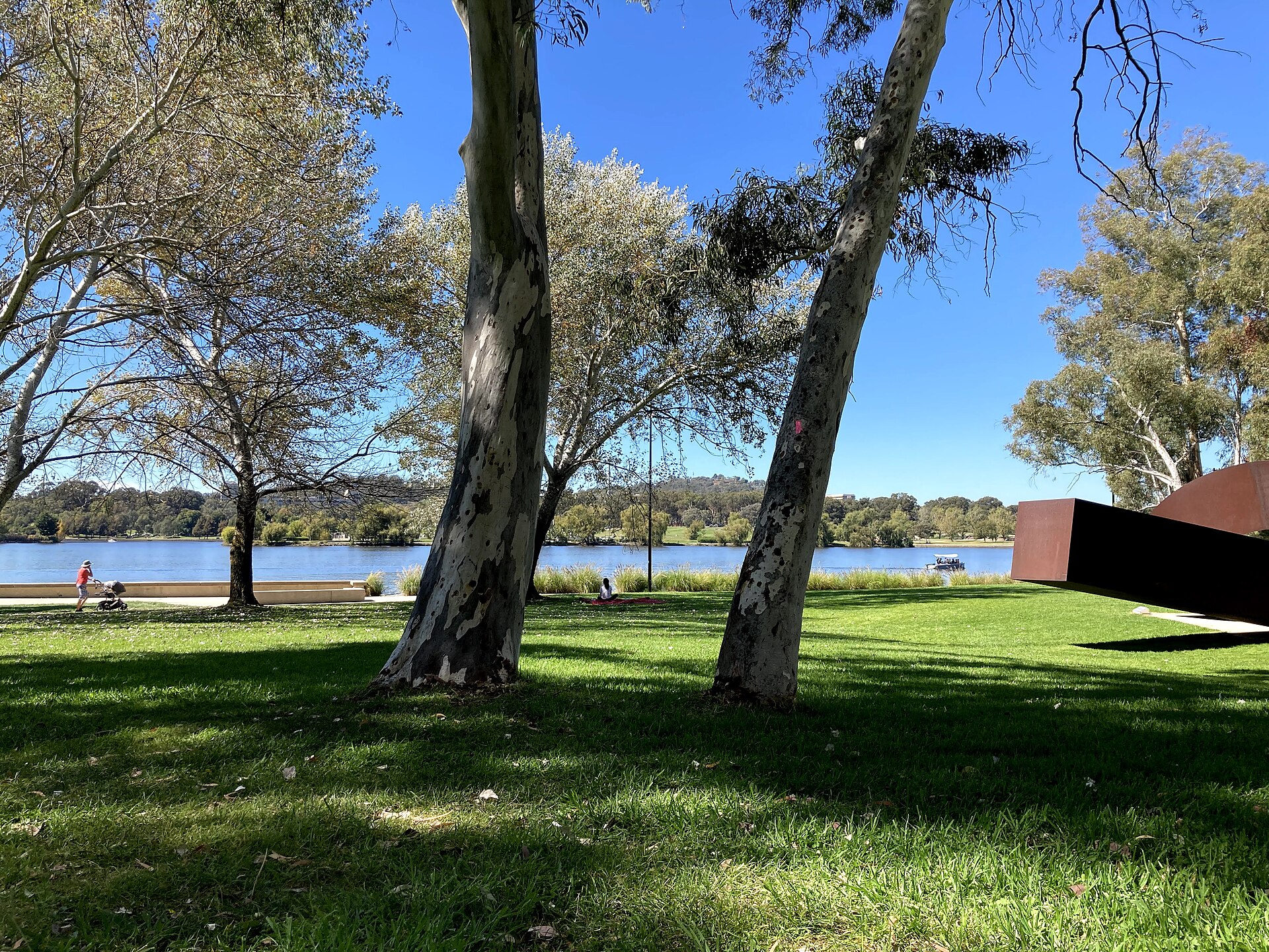 Lawns of the National Sculpture Garden on the shore of Lake Burley Griffin, with a Cor-ten steel sculpture visible among gum trees