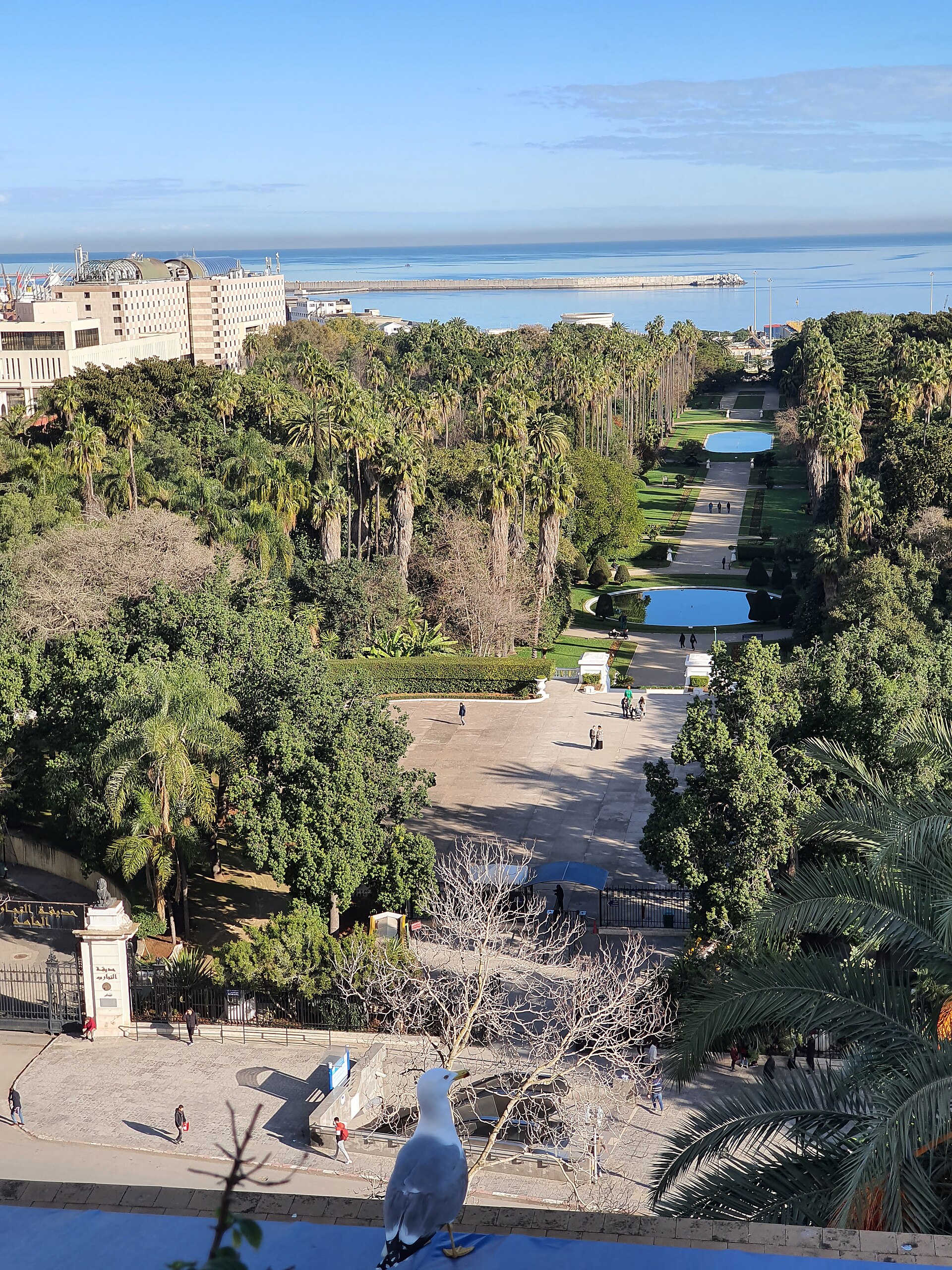 The view from the terrace