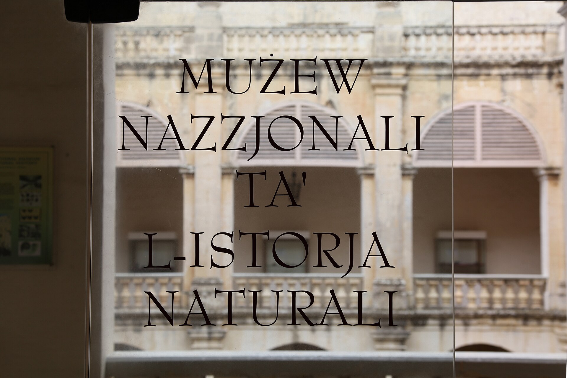 Courtyard view through a museum window