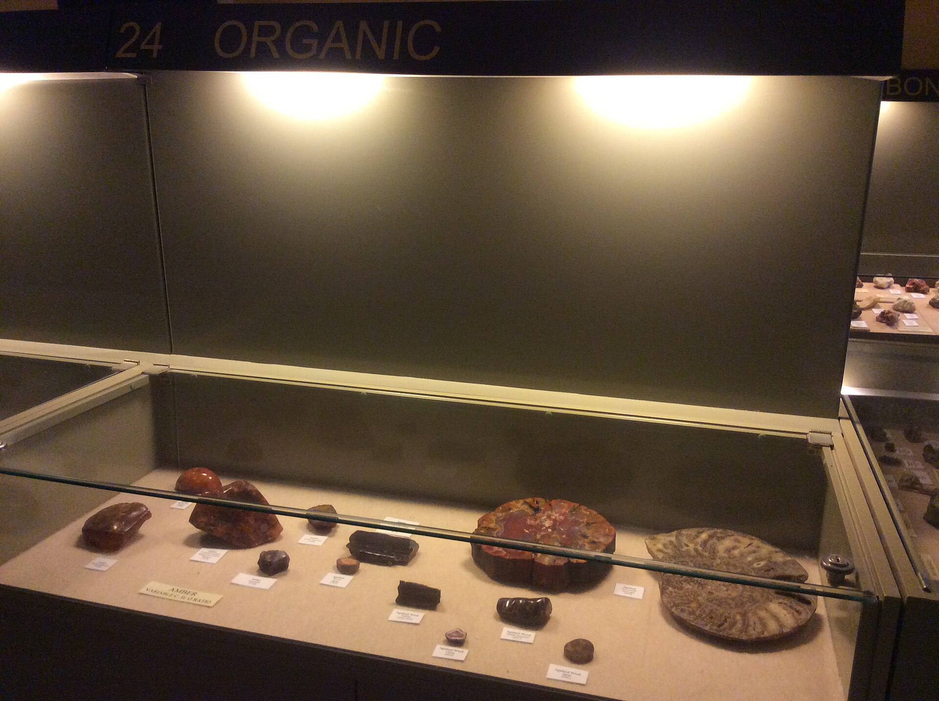 A museum display case of labelled rock and mineral specimens under the heading Organic
