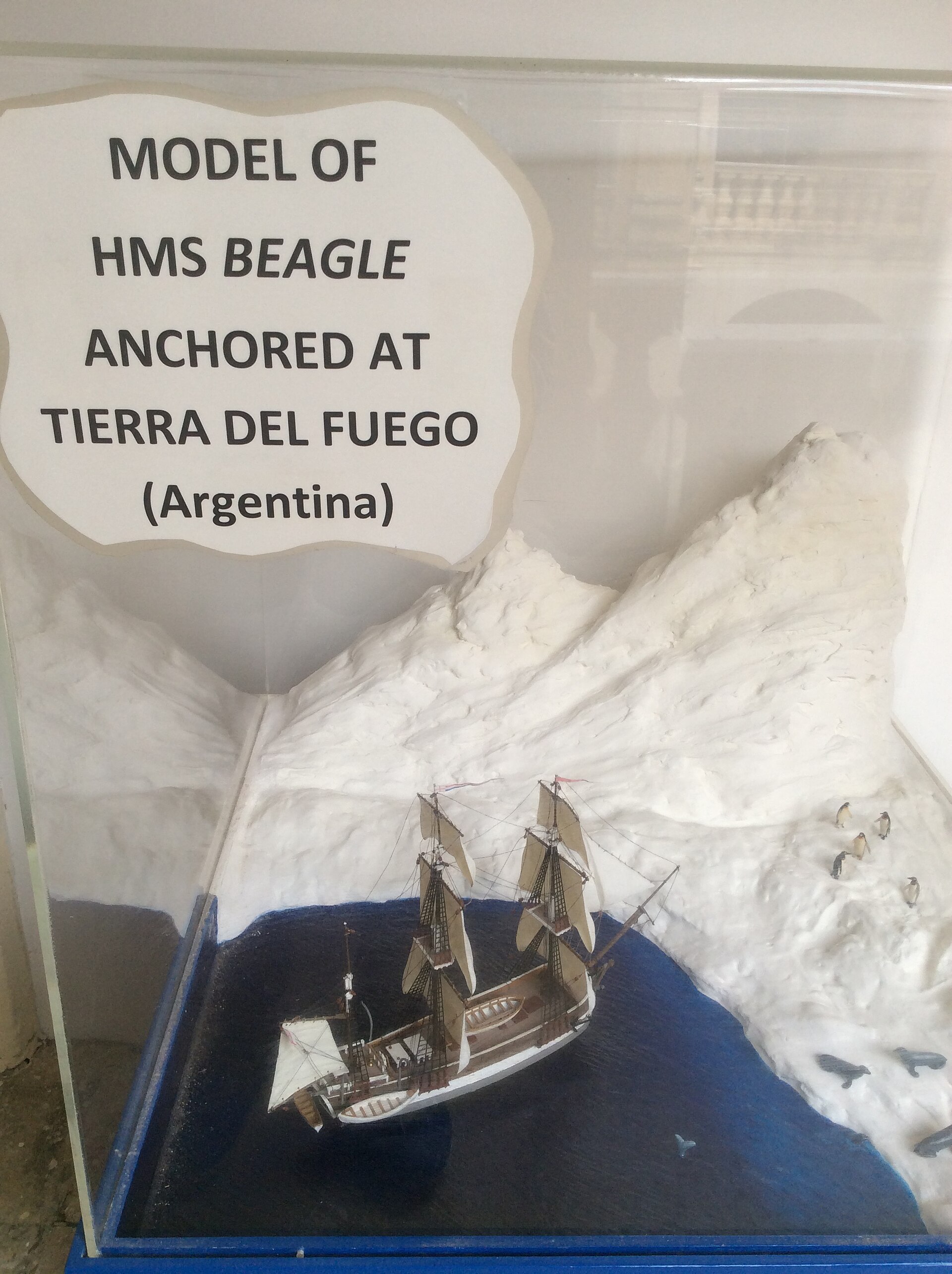 Model of HMS Beagle on display