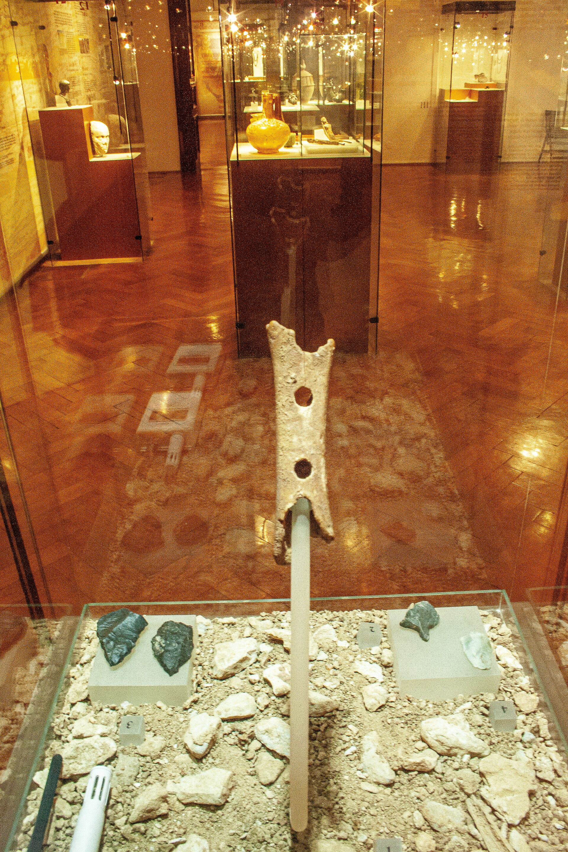 The Divje Babe Neanderthal flute on display in its case at the National Museum of Slovenia