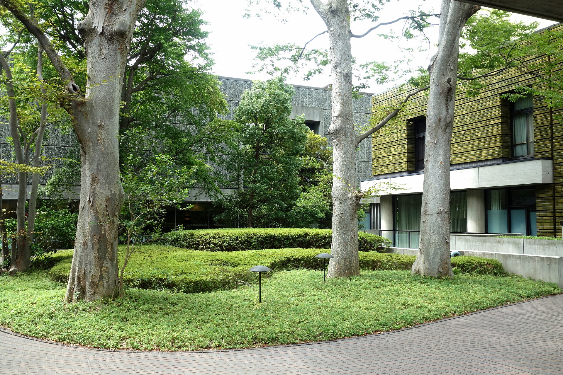 The New Wing's courtyard planted with mature zelkova and gingko trees