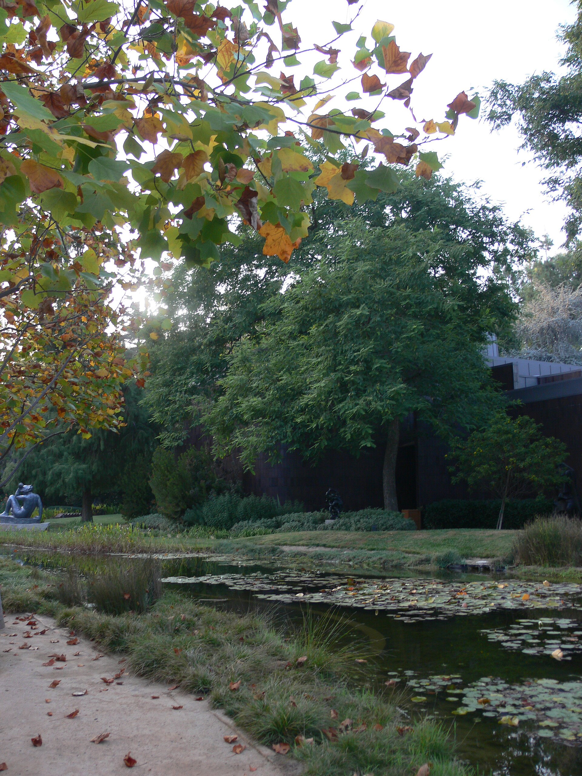 The lily pond in the Sculpture Garden, with a bronze figure and the tiled museum building beyond