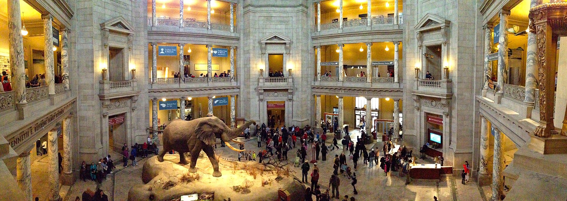 The Rotunda