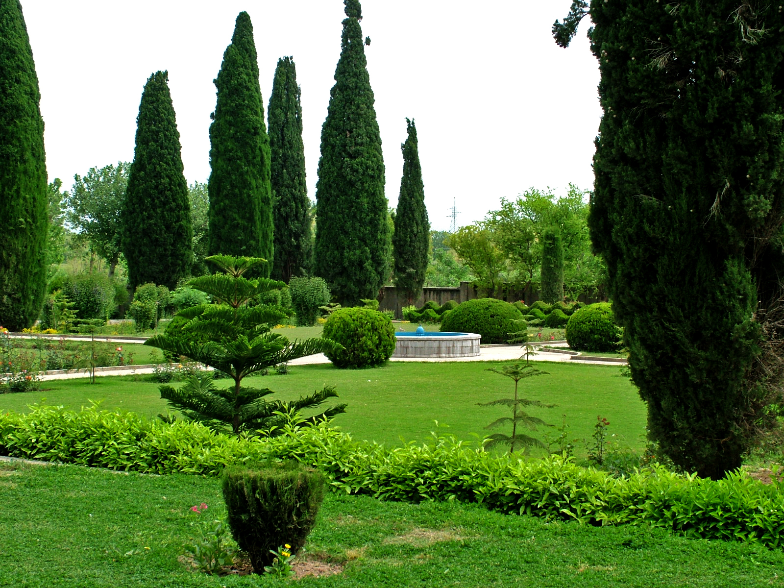 The museum garden