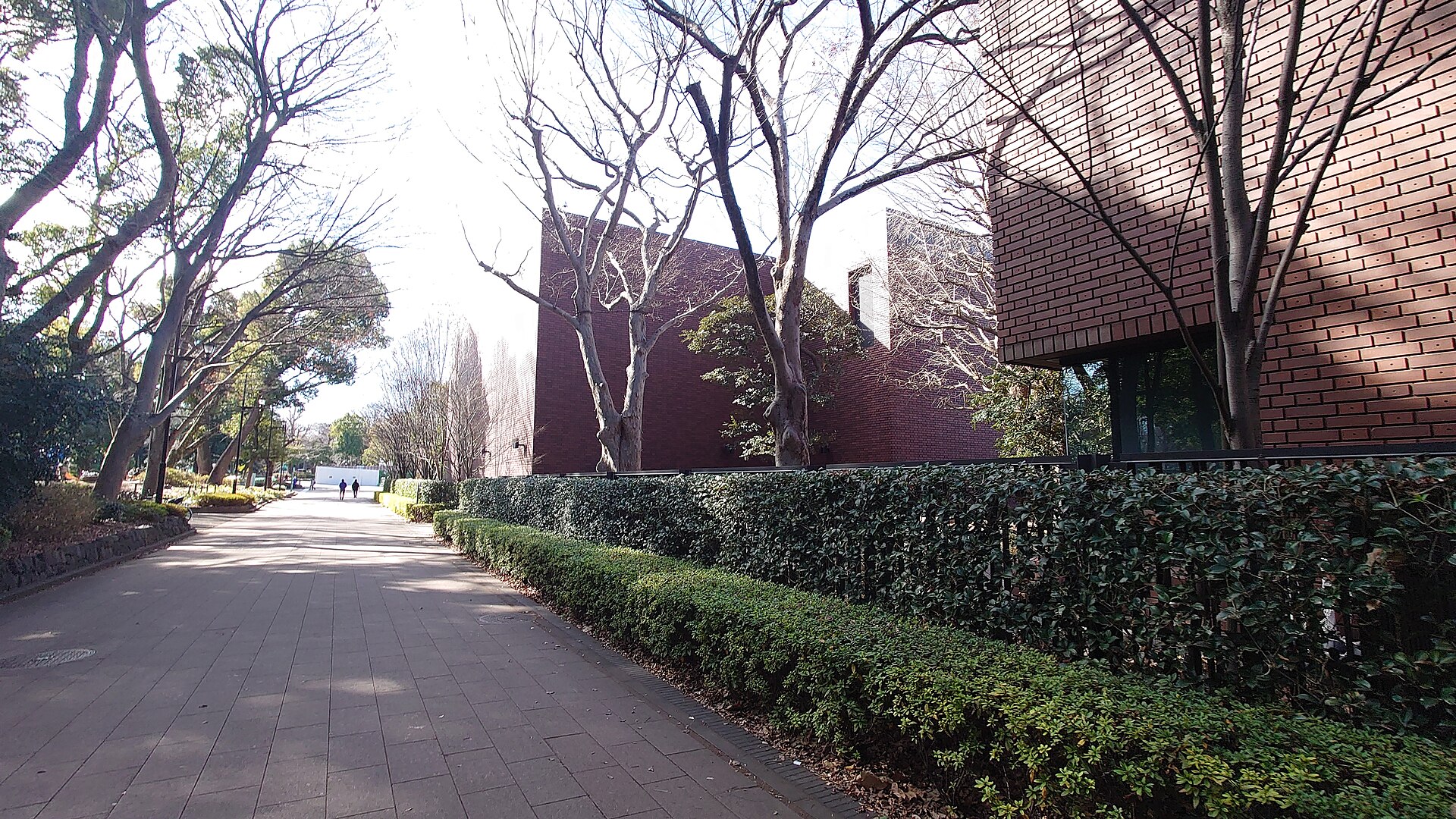 Museum exterior from the park path