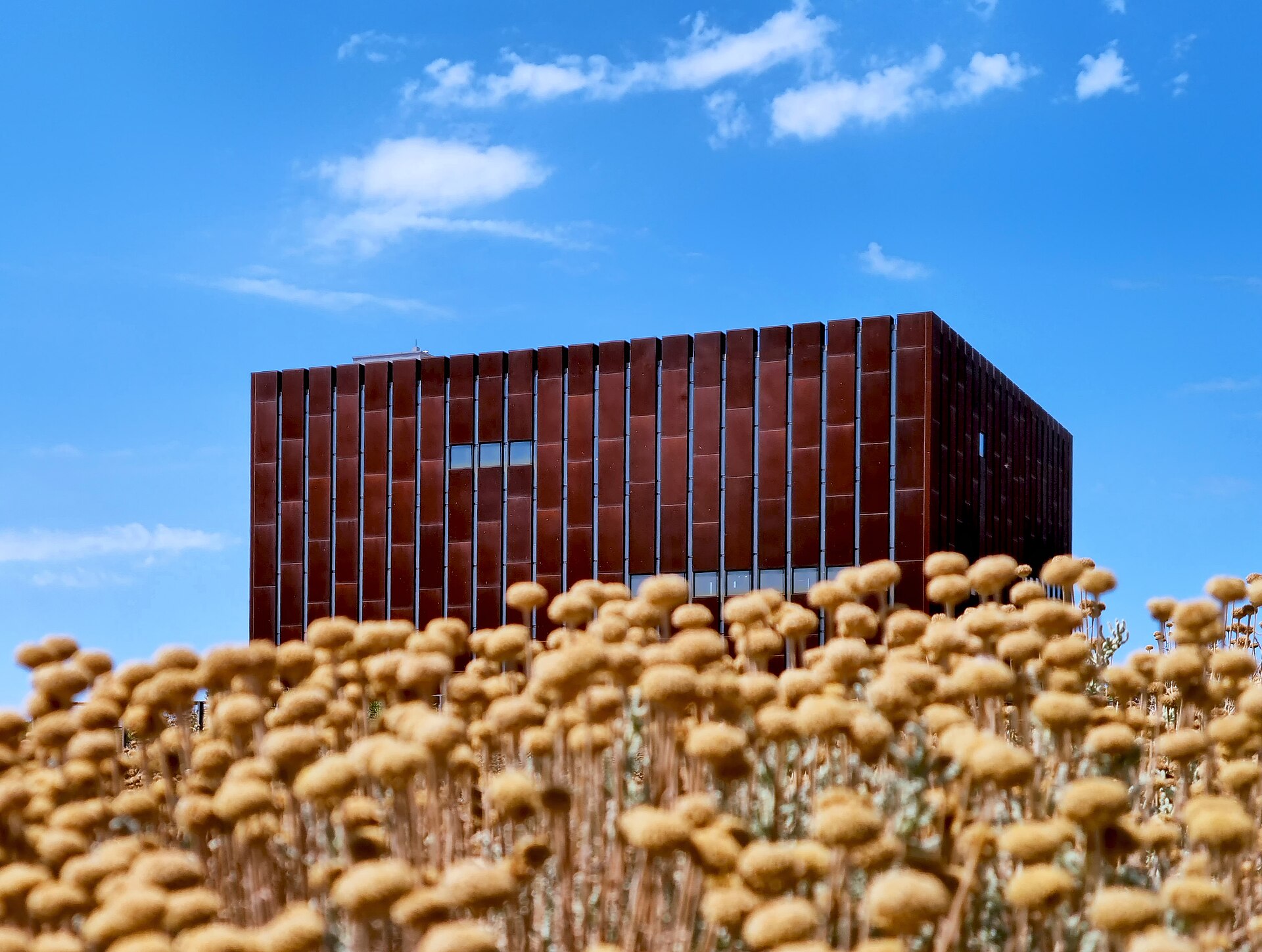 The Museum of Troy