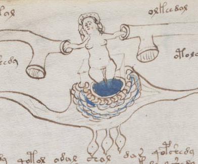 Balneological folio 77 verso, detail