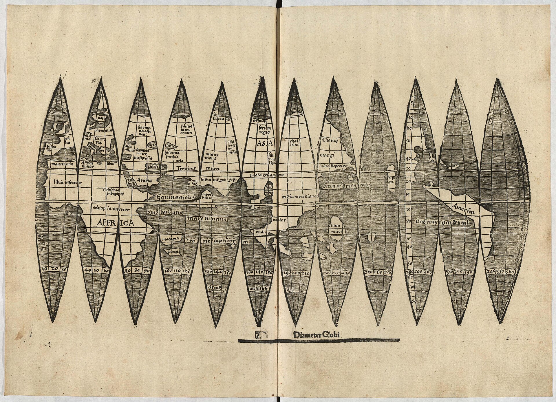 Waldseemuller's Globe Gores by Martin Waldseemuller