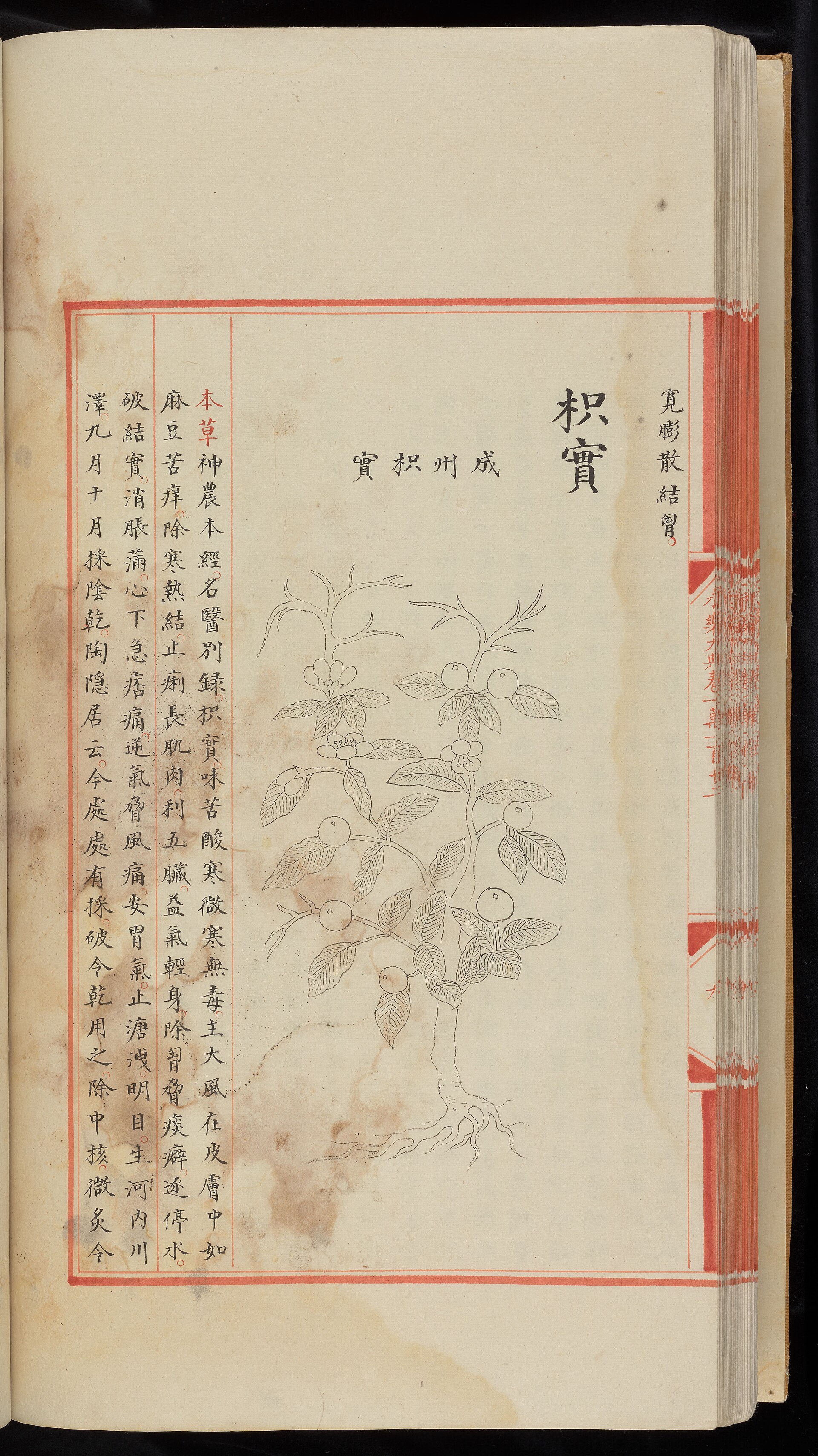 Yongle Dadian, juan 10,110-10,112 (Chester Beatty Library, C 1757)